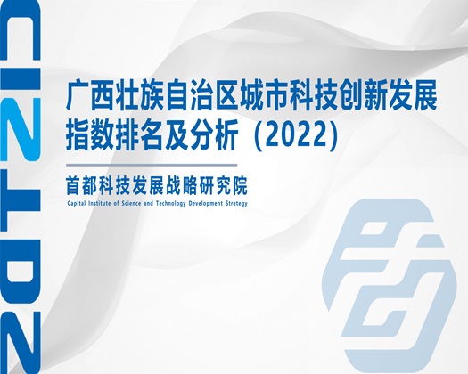 黑屌操骚逼视频【成果发布】广西壮族自治区城市科技创新发展指数排名及分析（2022）